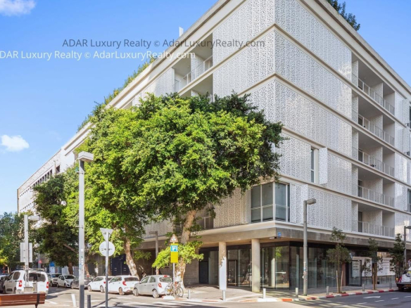 Which Tel Aviv Neighborhood is Right for You? A Complete Guide to the City's Unique Areas