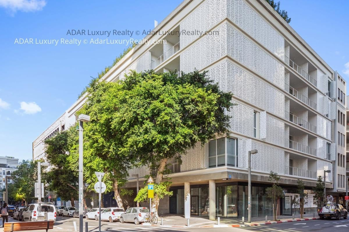 Which Tel Aviv Neighborhood is Right for You? A Complete Guide to the City's Unique Areas